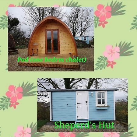 Westport Glamping At Doon Angus Farm Vila Exterior foto