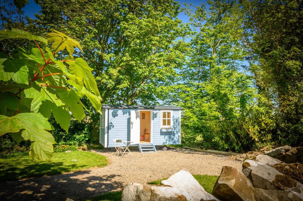 Westport Glamping At Doon Angus Farm Vila Exterior foto