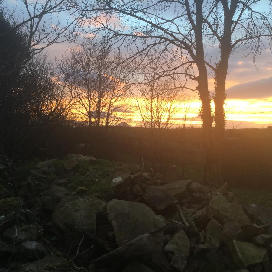 Westport Glamping At Doon Angus Farm Vila Exterior foto