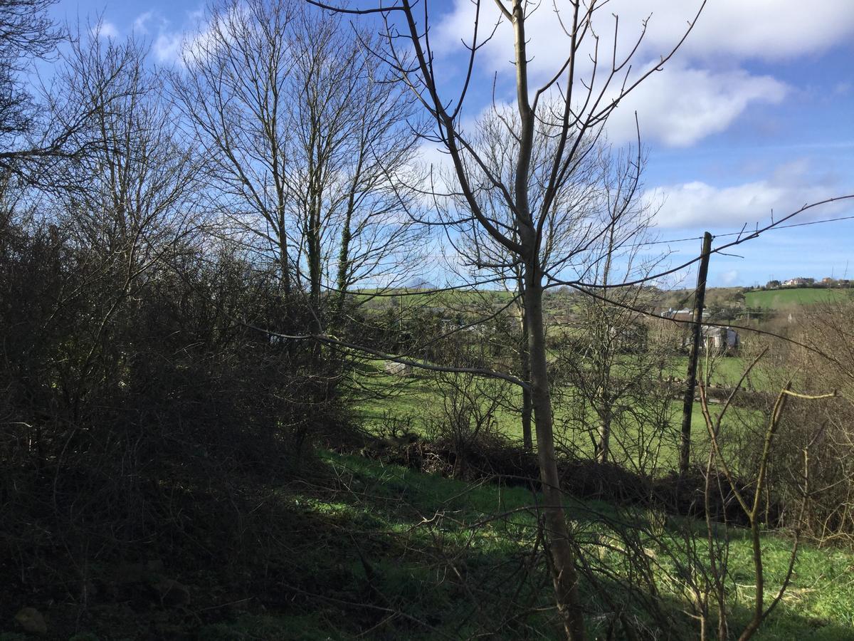 Westport Glamping At Doon Angus Farm Vila Exterior foto