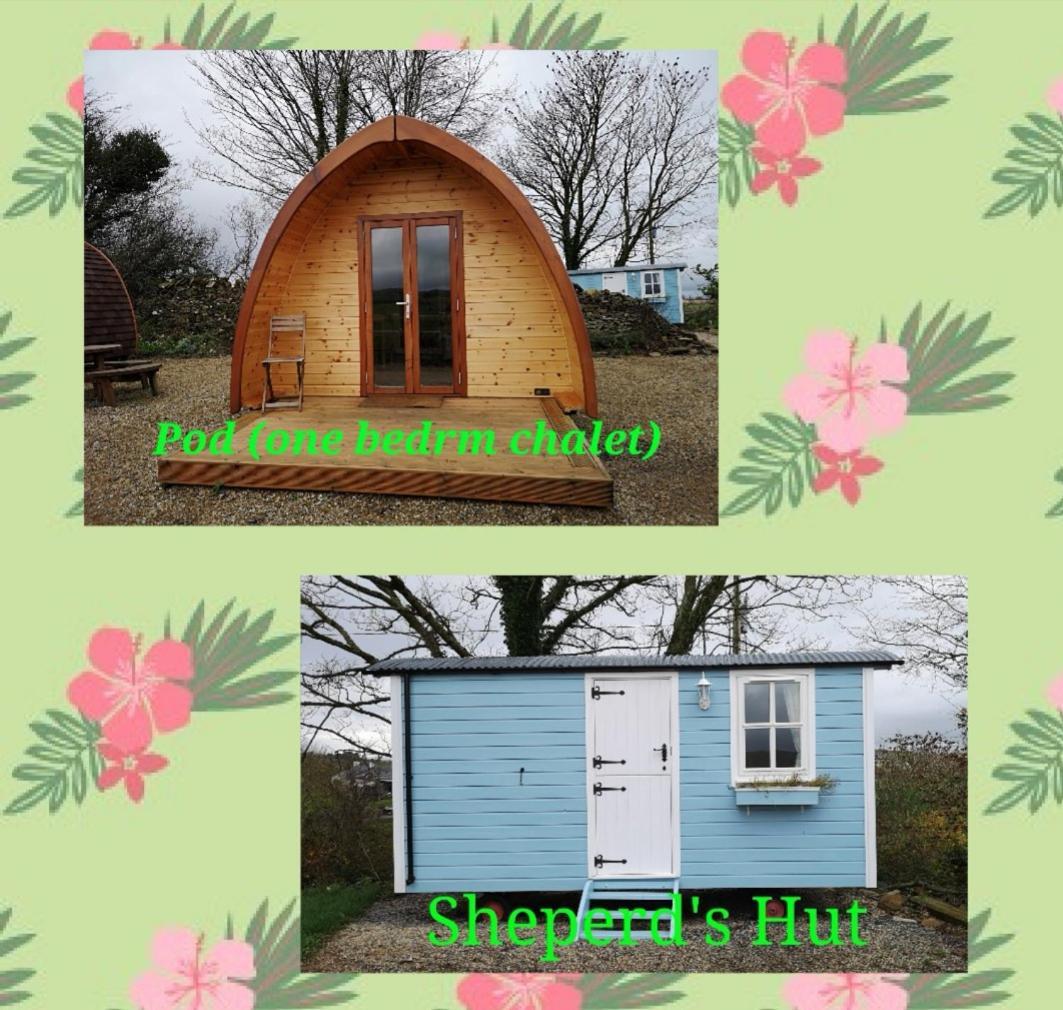 Westport Glamping At Doon Angus Farm Vila Exterior foto